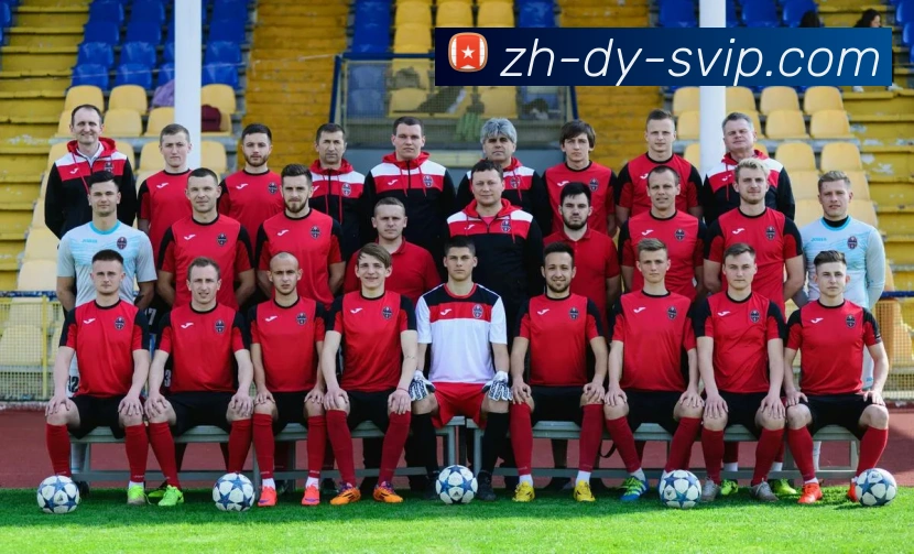 B体育官网APP 体育赛事宣传图